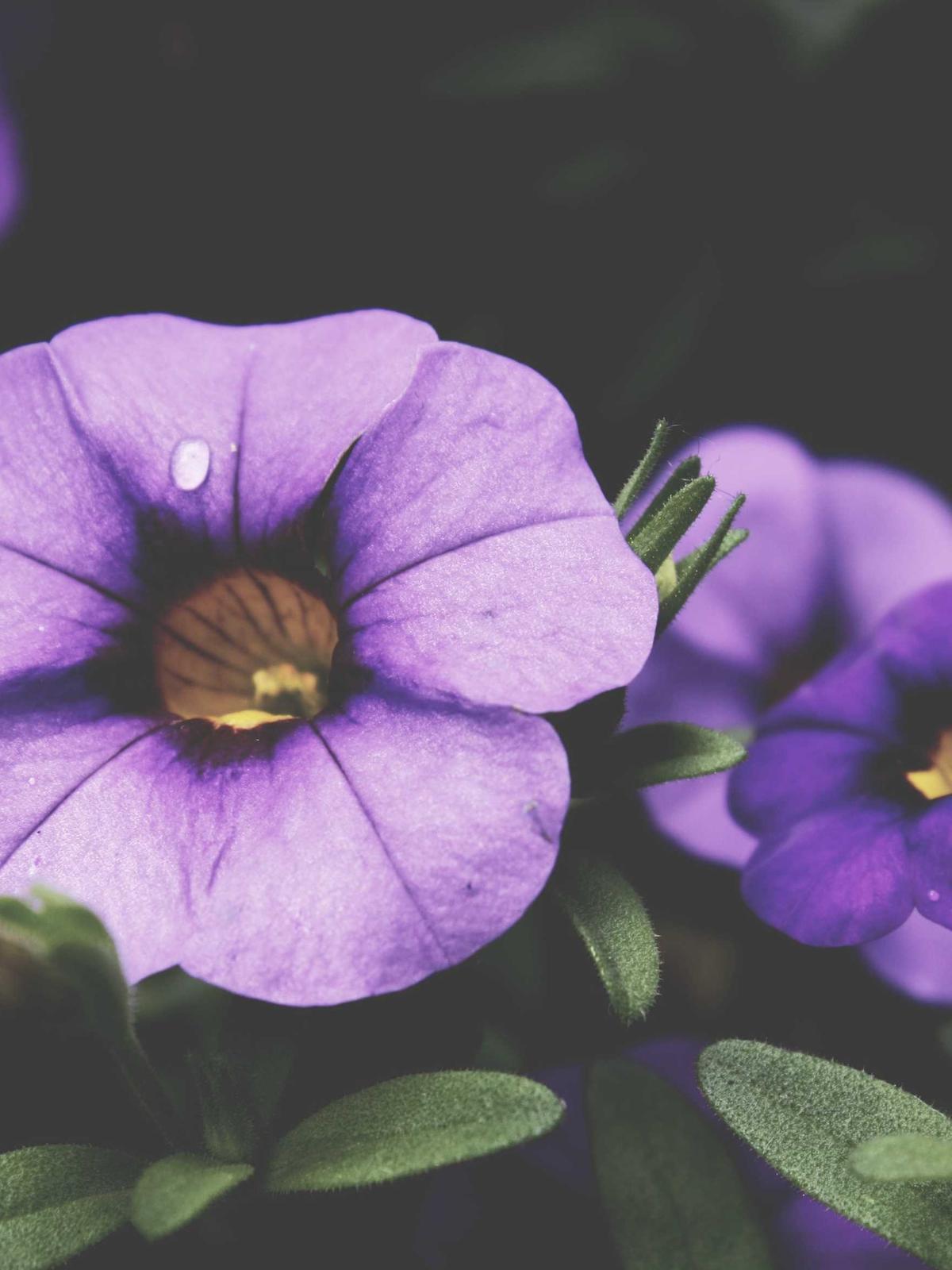 Portfolio image for Carlos Rivera Styling