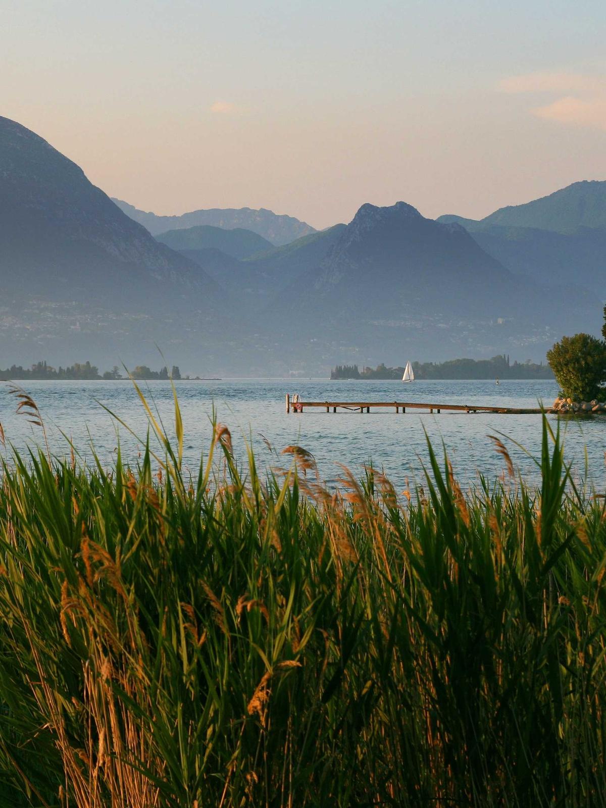 Portfolio image for Sophia Chen