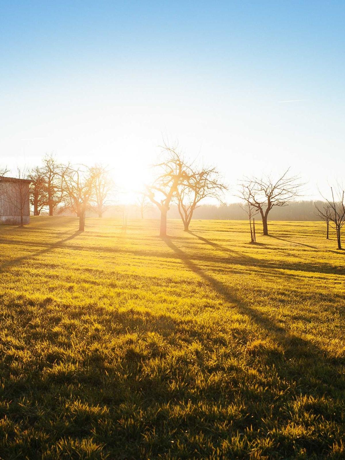 Portfolio image for Sophia Chen