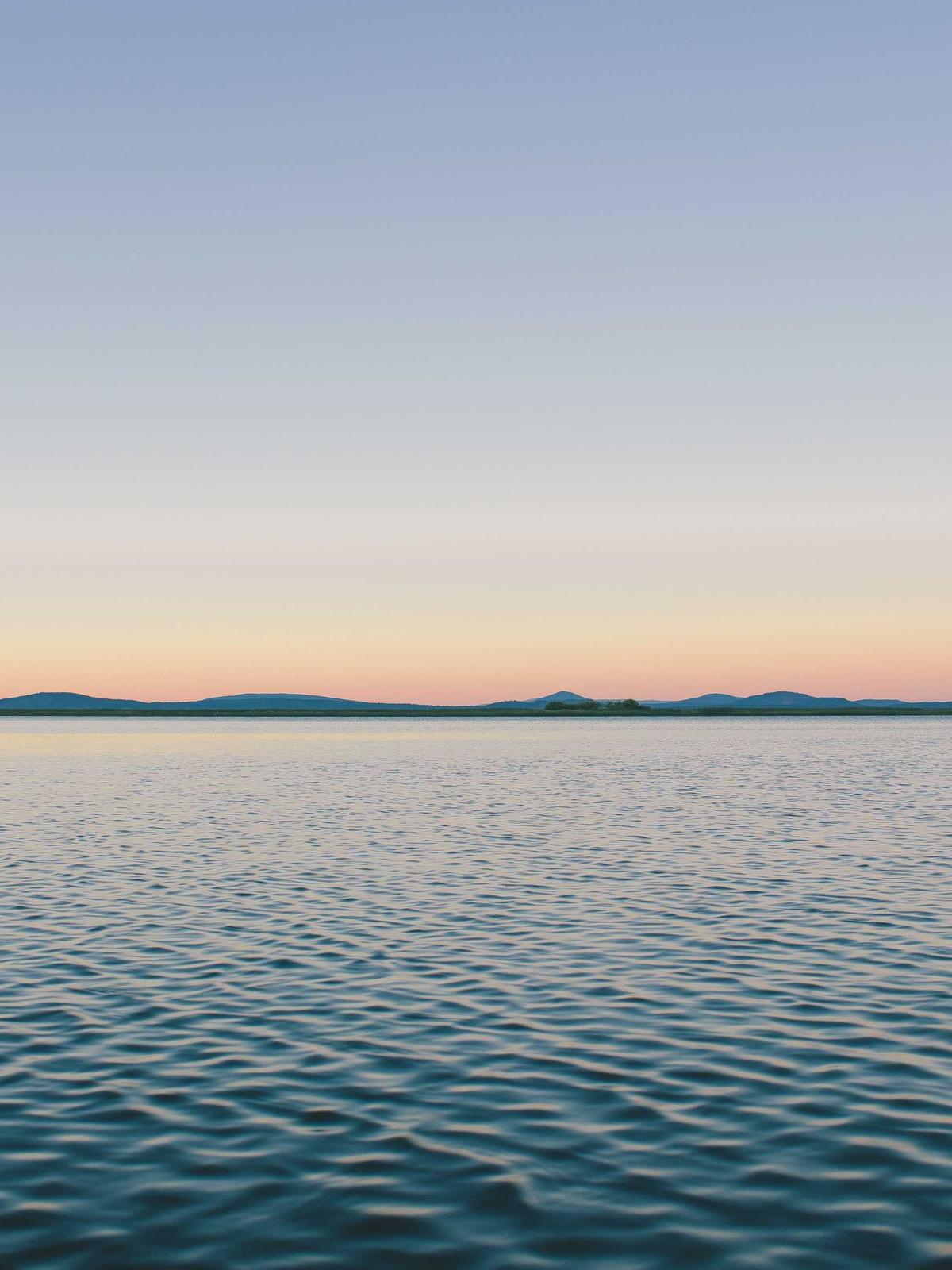 Portfolio image for Marcus Williams