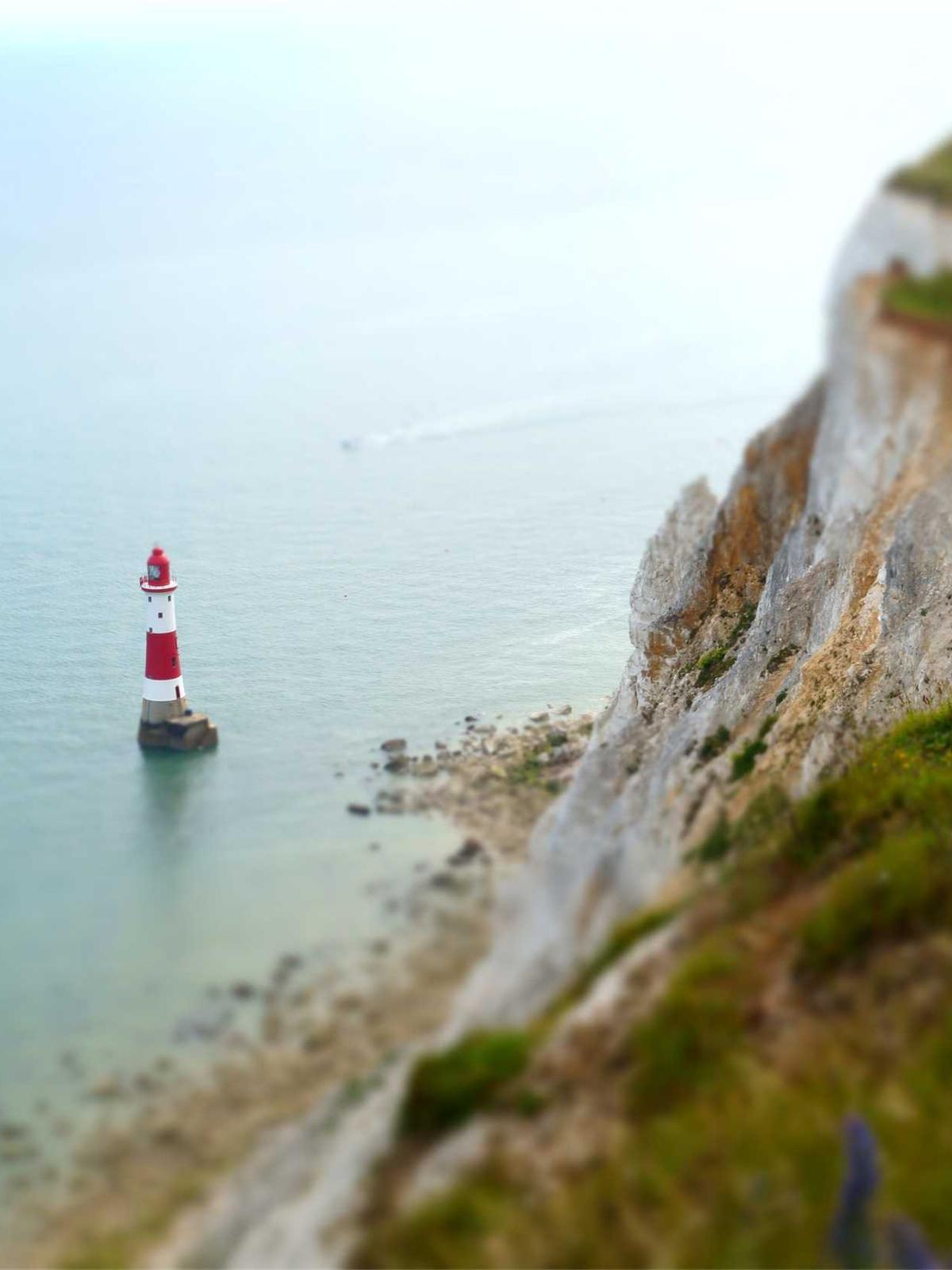 Portfolio image for Marcus Williams