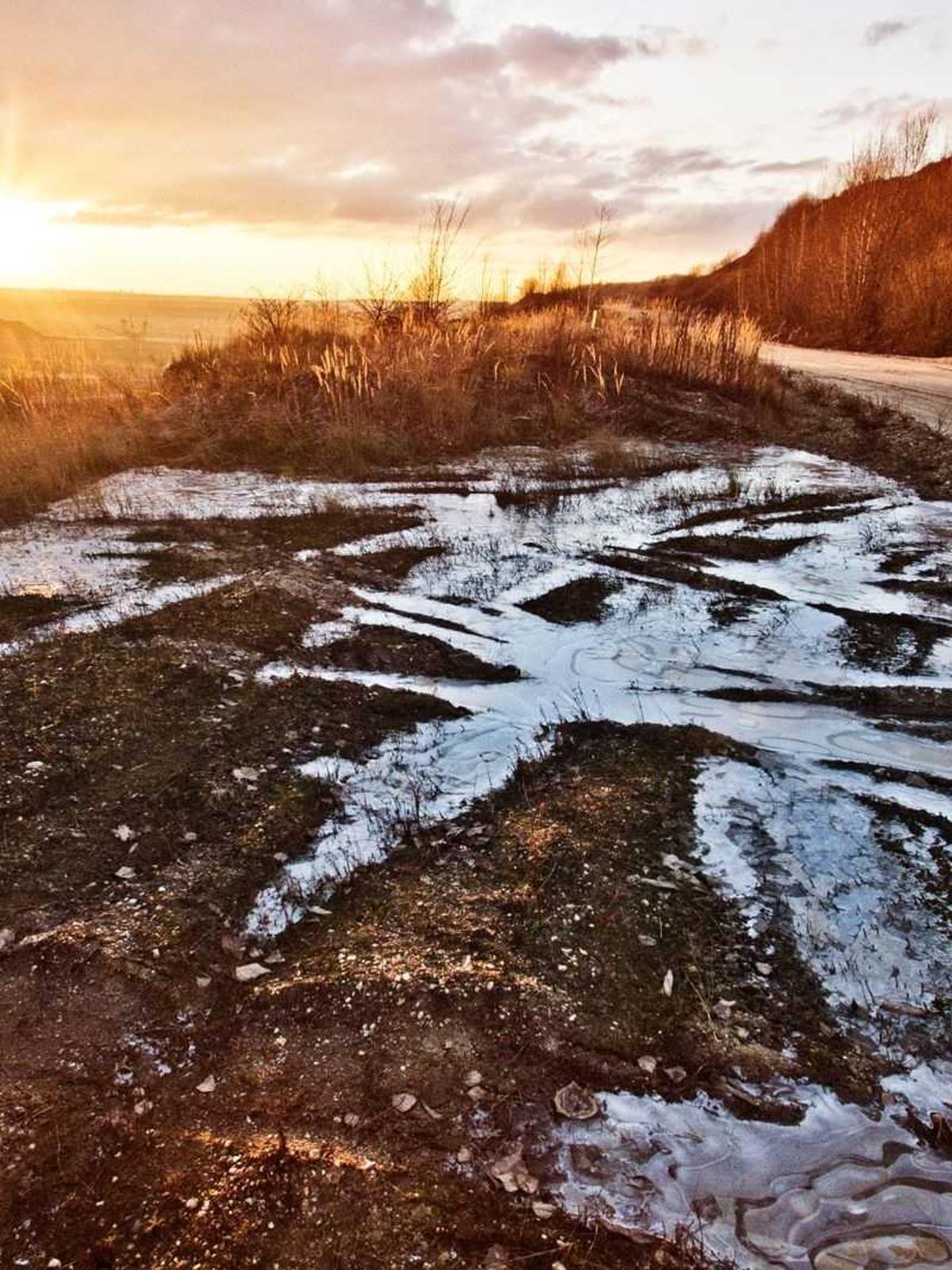 Portfolio image for Marcus Williams