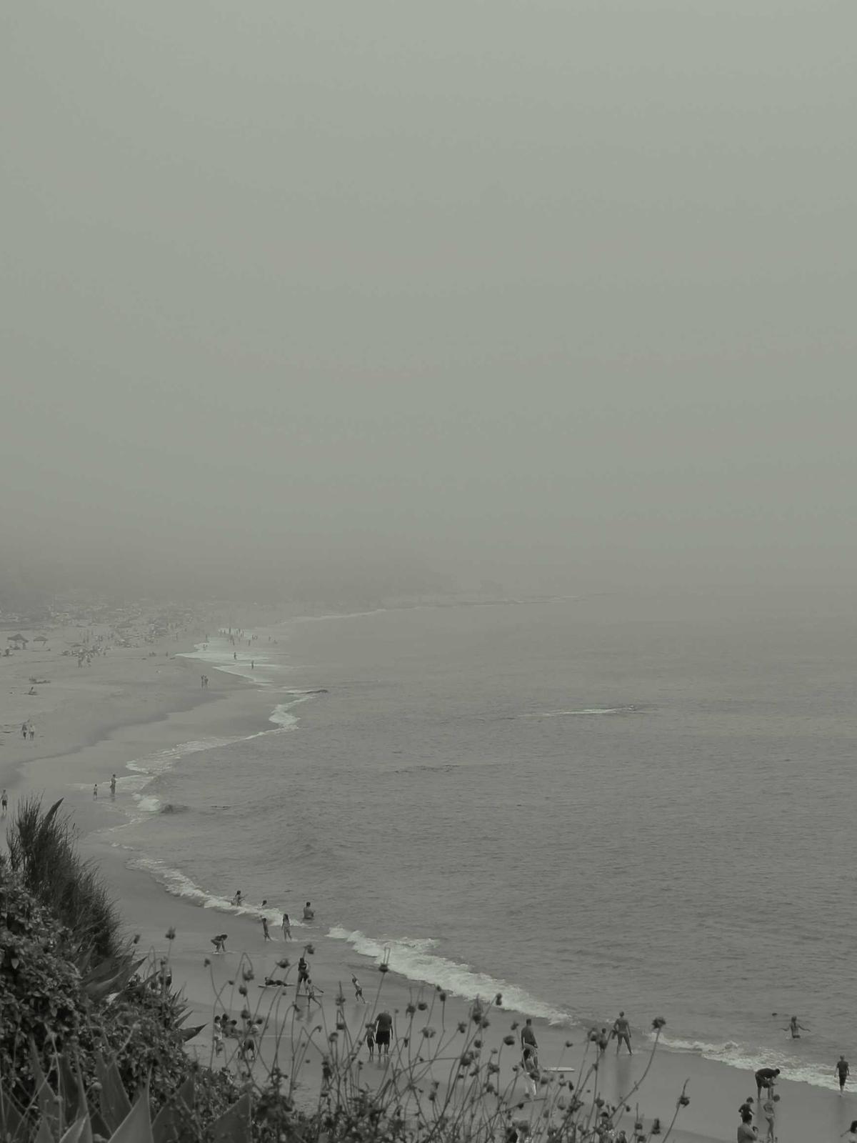 Portfolio image for Elena Petrova