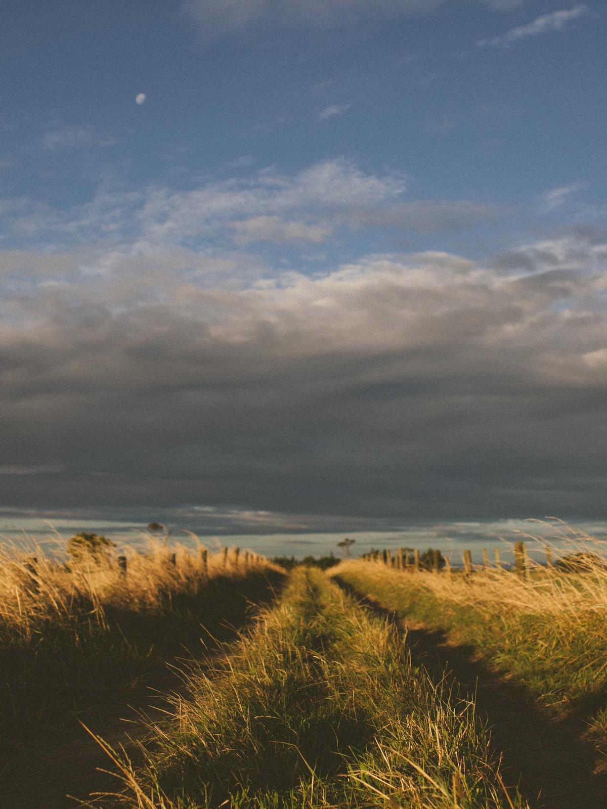 Portfolio image for Elena Petrova