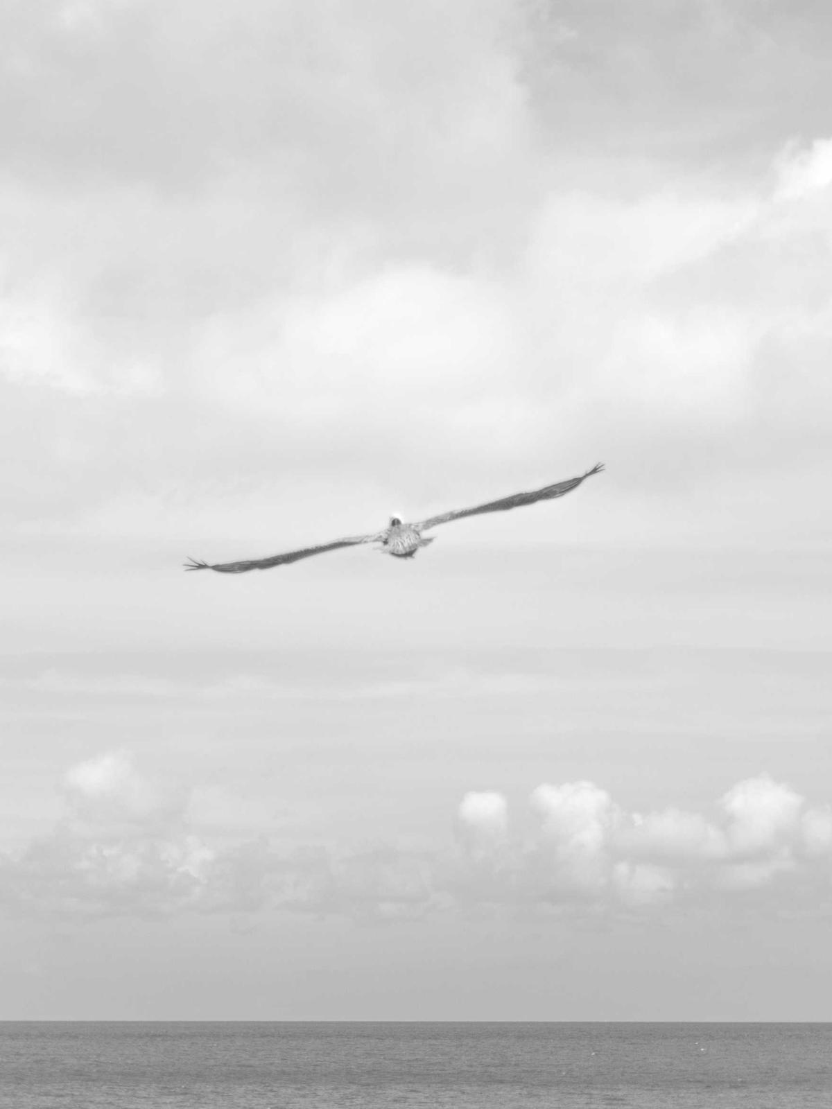 Portfolio image for Amara J.