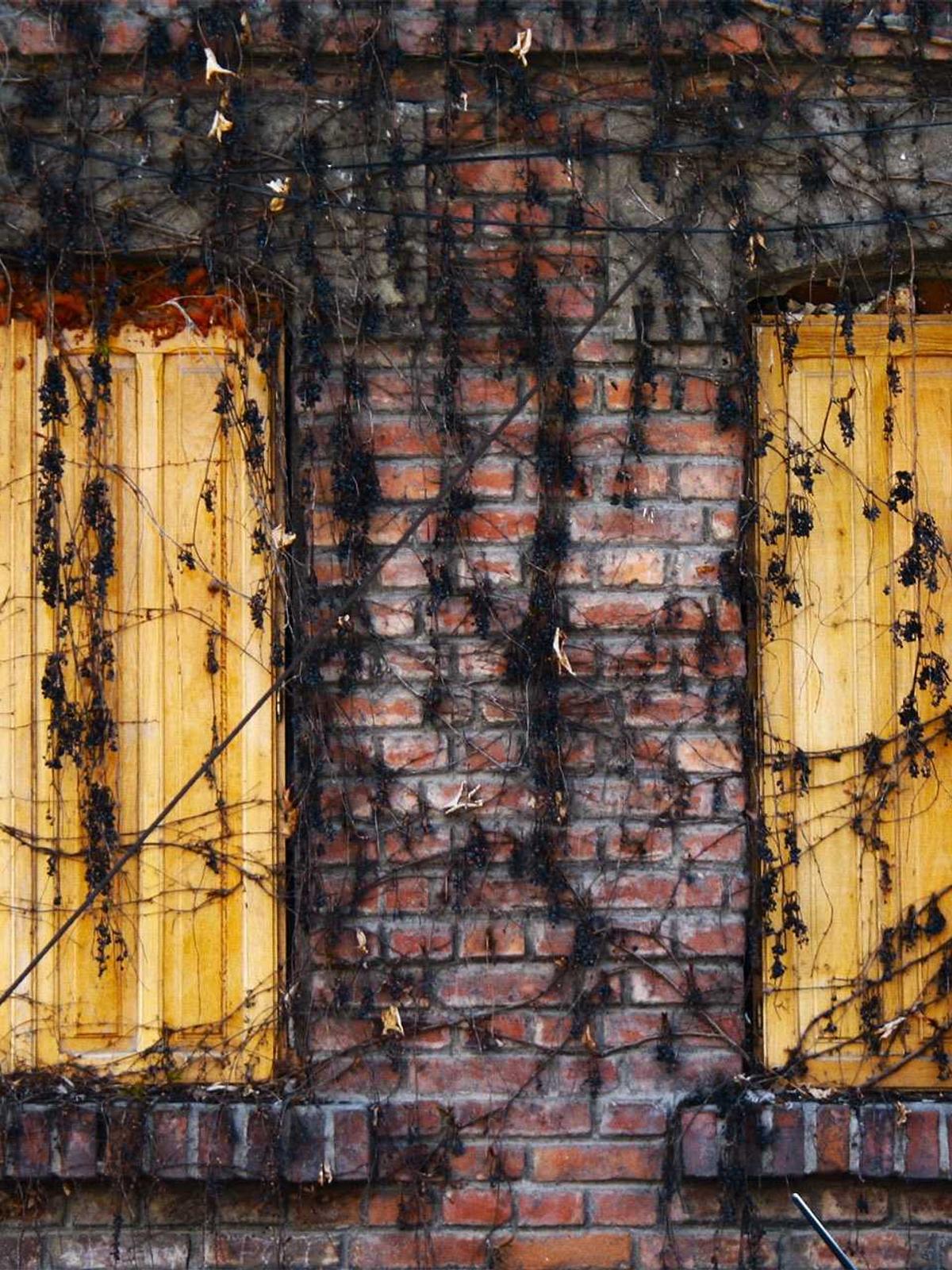 Portfolio image for David Kim Photography