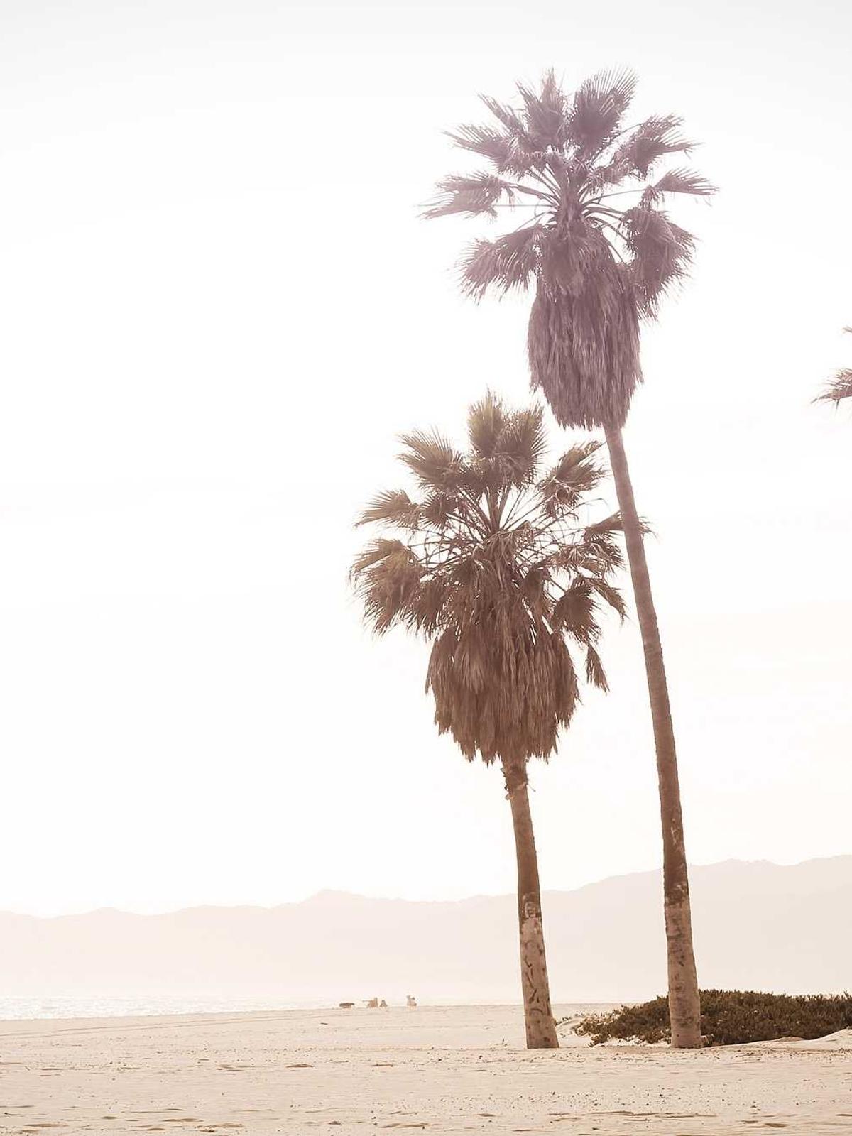 Portfolio image for David Kim Photography