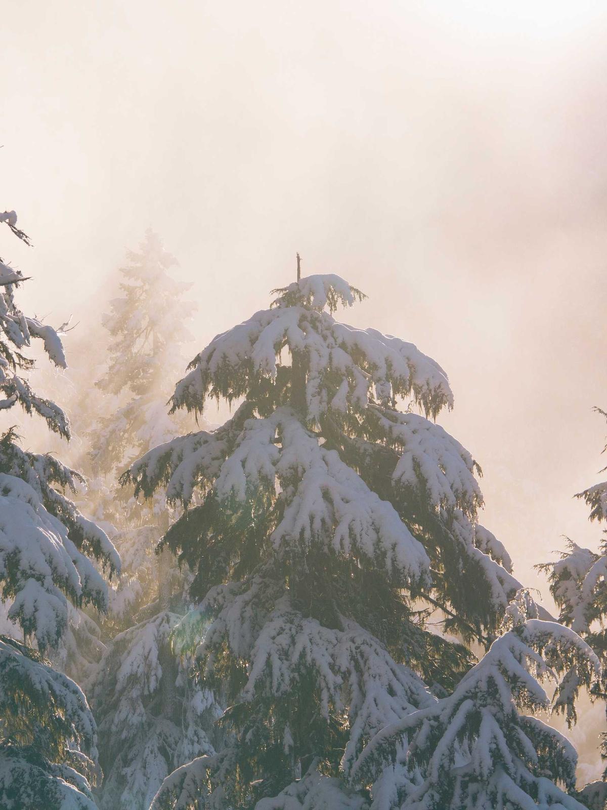 Portfolio image for David Kim Photography