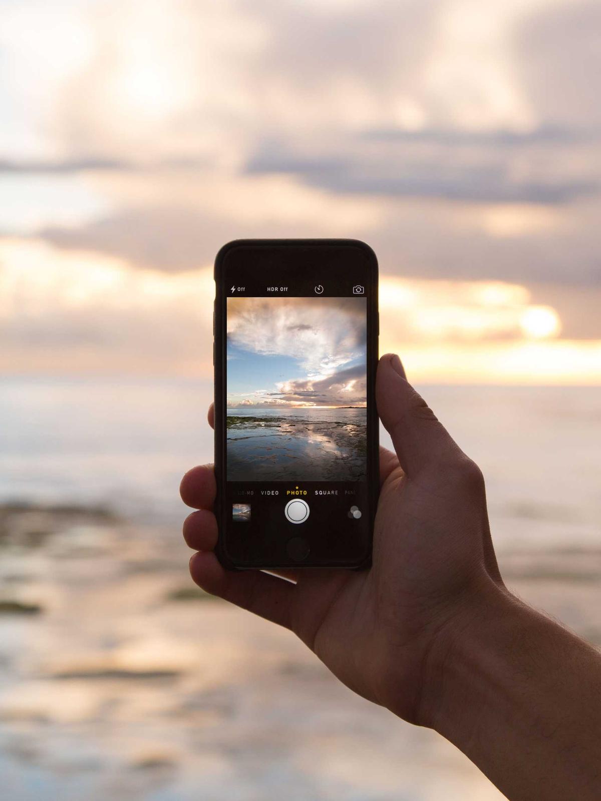 Portfolio image for Sarah Mitchell