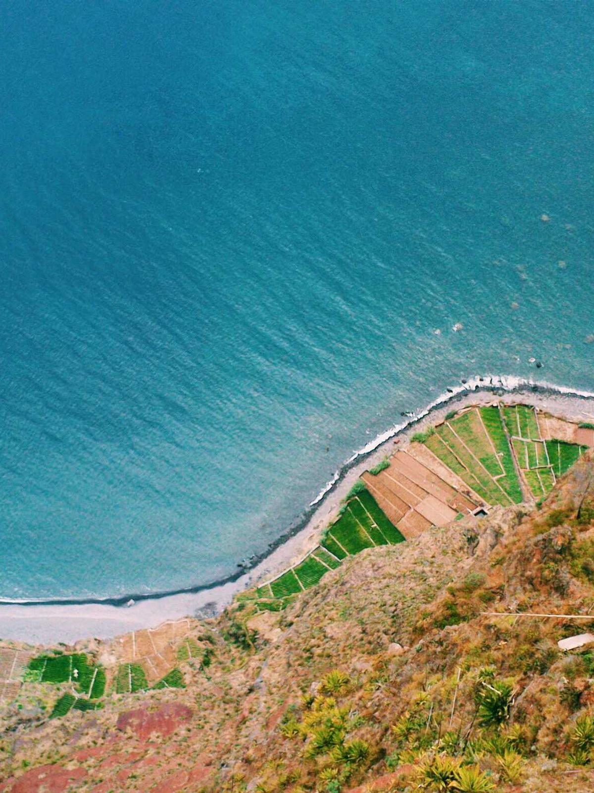 Portfolio image for Sarah Mitchell