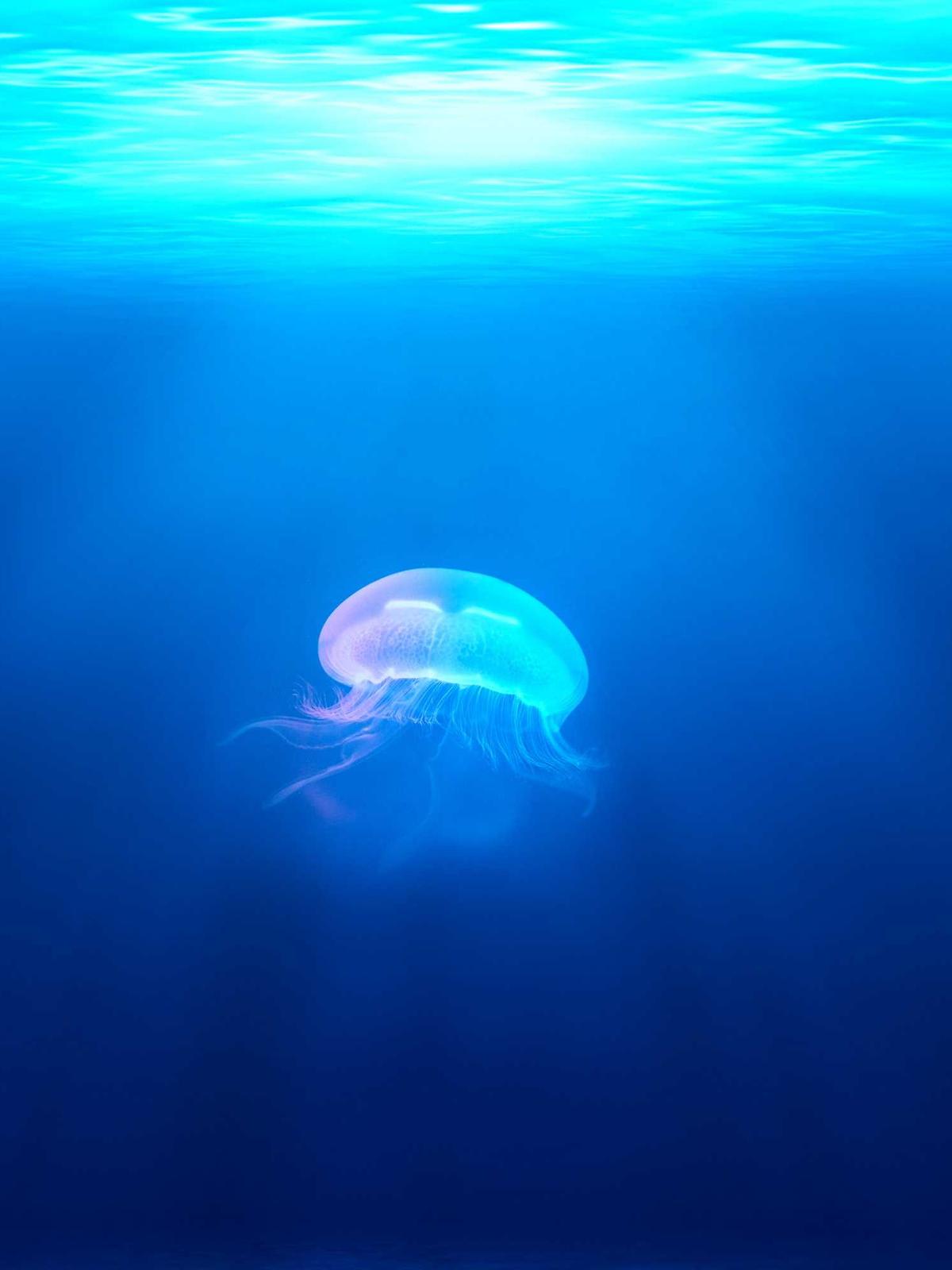 Portfolio image for Sarah Mitchell