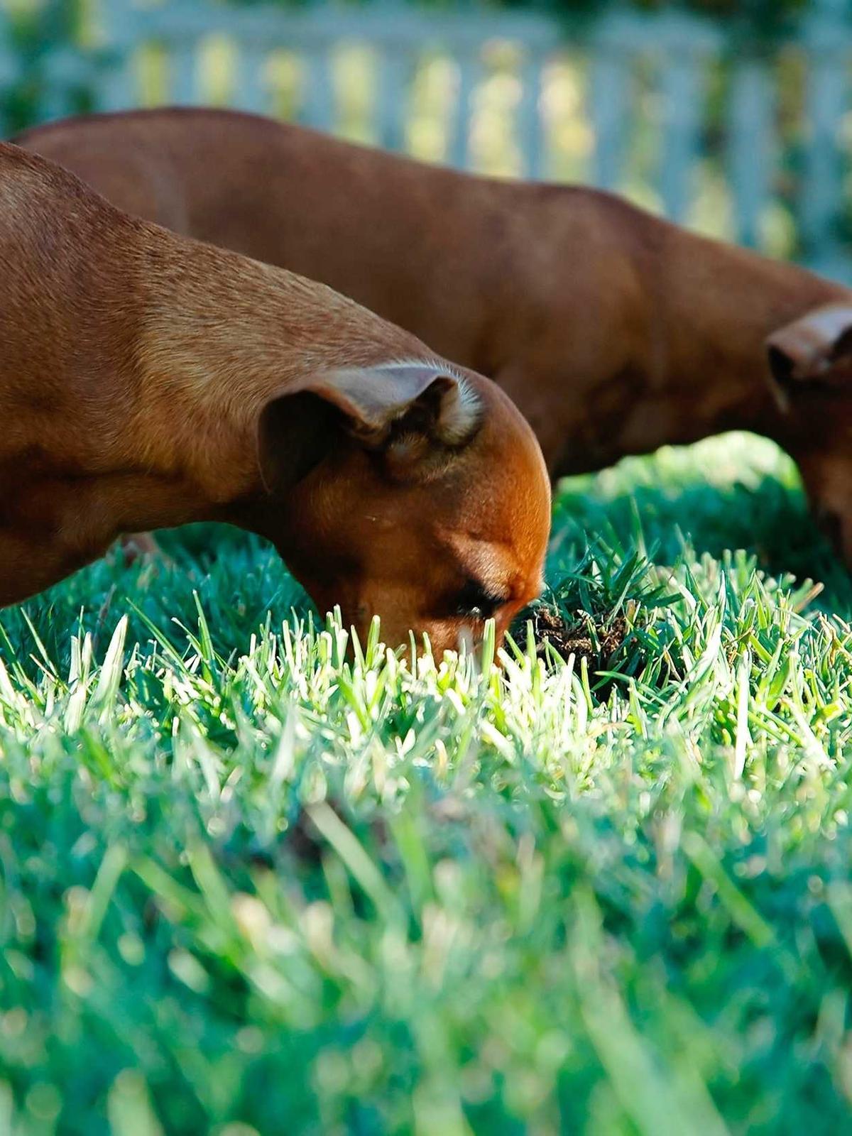 Portfolio image for Lisa Park MUA